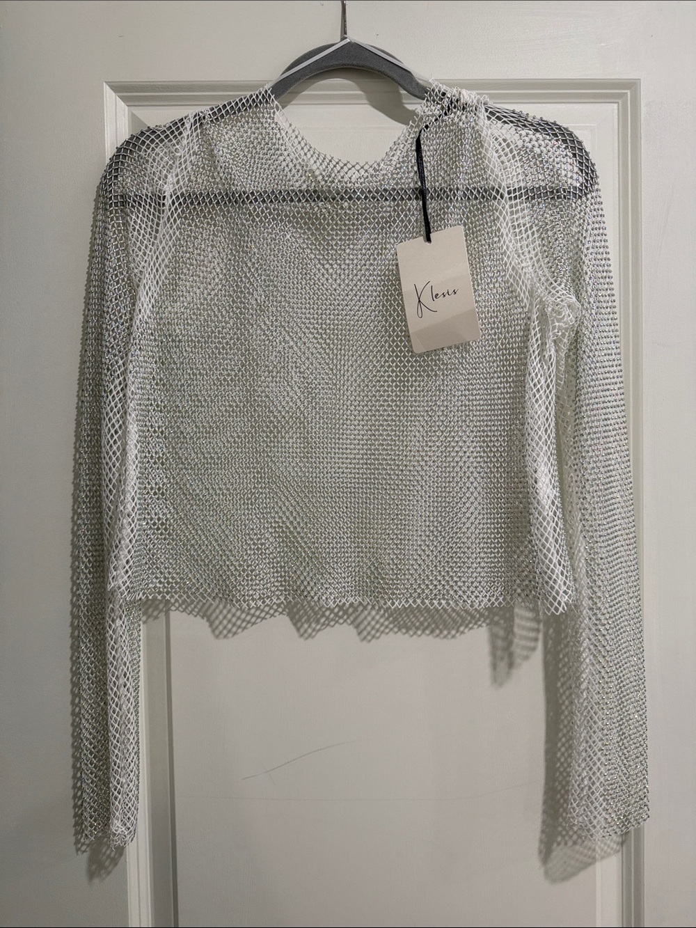 Klesis Silver Sheer Mesh Long-Sleeve Top